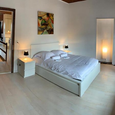 Luxury Duplex Vue Chateau ヌシャテル エクステリア 写真