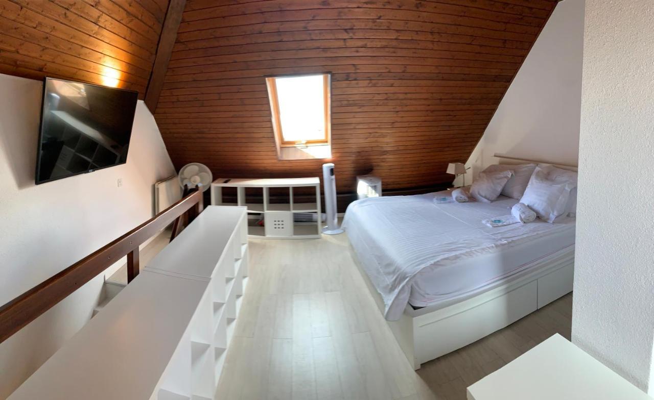 Luxury Duplex Vue Chateau ヌシャテル エクステリア 写真