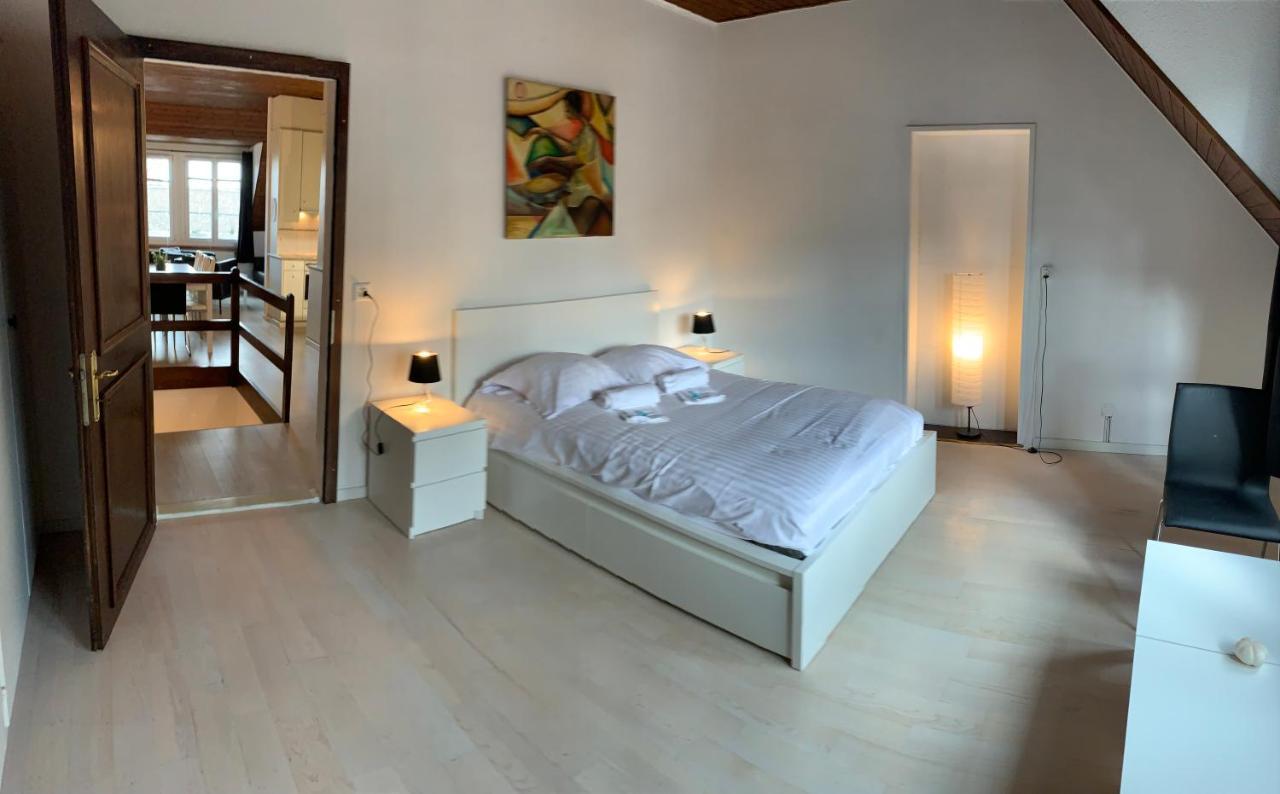 Luxury Duplex Vue Chateau ヌシャテル エクステリア 写真