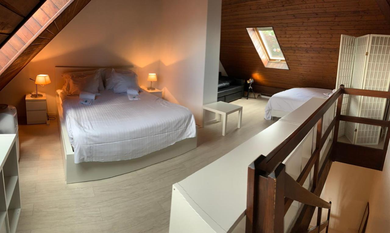Luxury Duplex Vue Chateau ヌシャテル エクステリア 写真