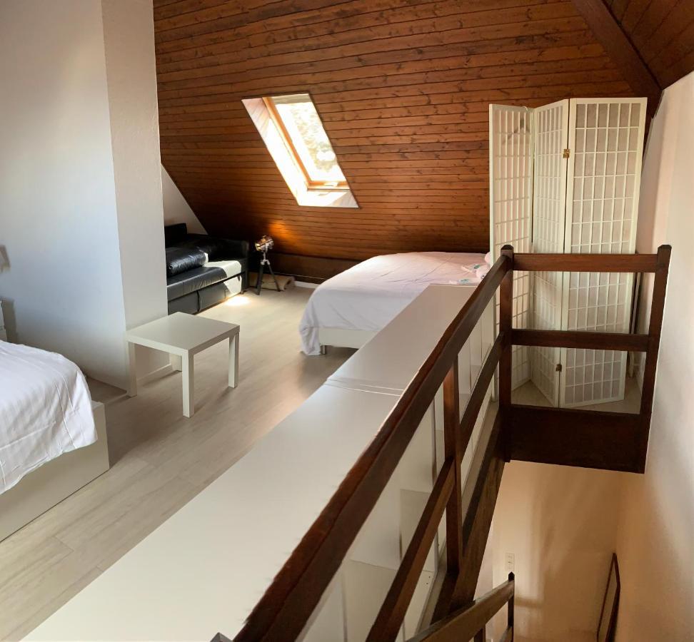 Luxury Duplex Vue Chateau ヌシャテル エクステリア 写真